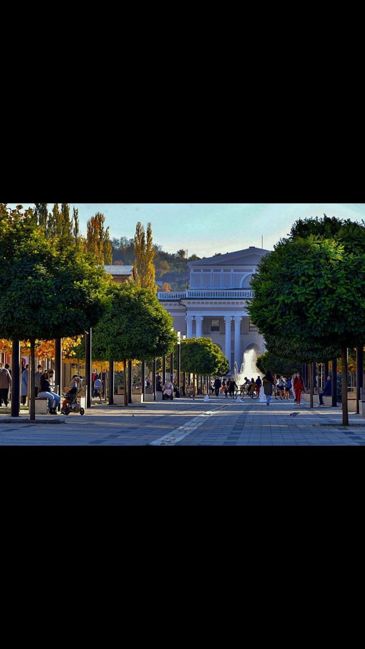 Ferienwohnung Refugiul Castelului Hunedoara Exterior foto